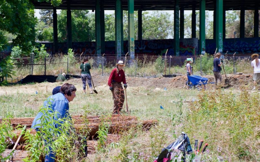 Sogorea Te Land trust