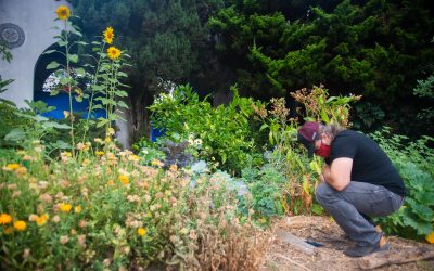 Supporting Food Sovereignty and Community Resiliency at the Oakland Peace Center