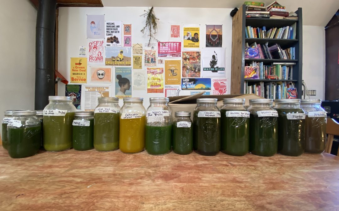 Tinctures for Treatment: Homegrown Medicine from PLACE for Sustainable Living