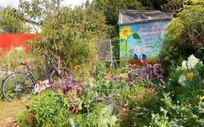 Meet the Changemaker: Bonnie Borucki and the Ashby Garden